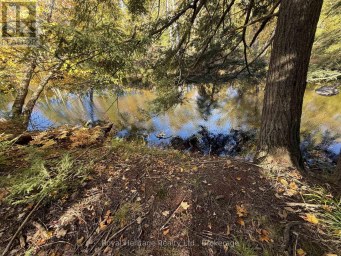 7 FIRE ROUTE 92 ROUTE Trent Lakes Ontario photo 6