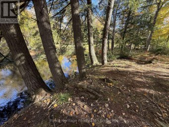 7 FIRE ROUTE 92 ROUTE Trent Lakes Ontario photo 8