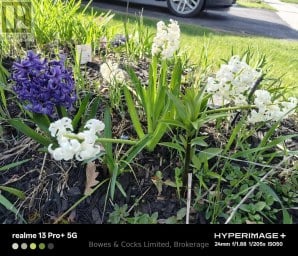210 FARRIER CRESCENT Peterborough (Northcrest Ward 5) Ontario photo 47
