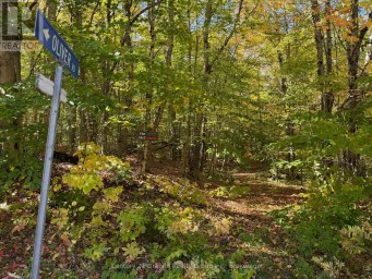 00 KUSHOG LAKE ROAD Algonquin Highlands (Stanhope) Ontario photo 1