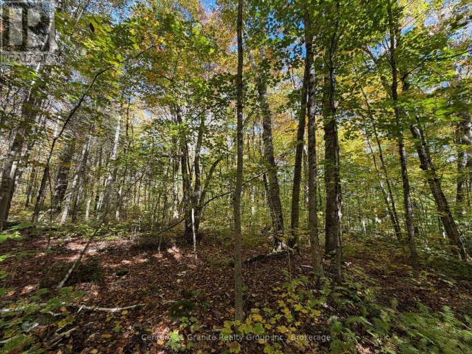 00 KUSHOG LAKE ROAD, Algonquin Highlands (Stanhope), Ontario, K0M1S0