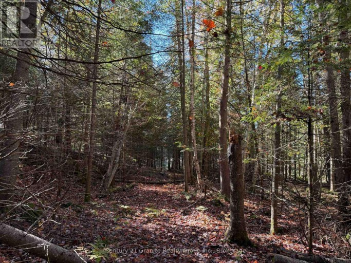 00 KUSHOG LAKE ROAD, Algonquin Highlands (Stanhope), Ontario, K0M1S0