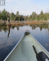 00 KUSHOG LAKE ROAD Algonquin Highlands (Stanhope) Ontario photo 12