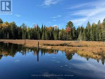 00 KUSHOG LAKE ROAD Algonquin Highlands (Stanhope) Ontario photo 13
