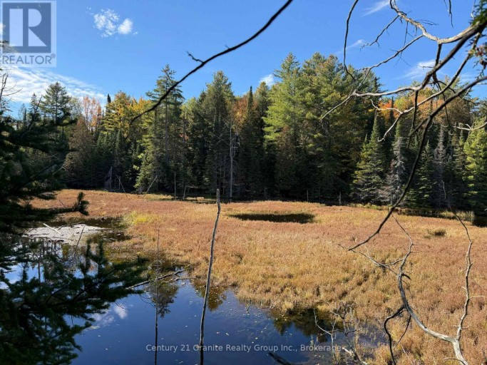 00 KUSHOG LAKE ROAD, Algonquin Highlands (Stanhope), Ontario, K0M1S0