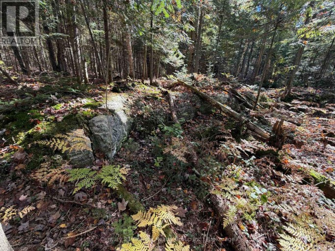00 KUSHOG LAKE ROAD, Algonquin Highlands (Stanhope), Ontario, K0M1S0
