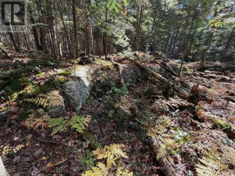 00 KUSHOG LAKE ROAD Algonquin Highlands (Stanhope) Ontario photo 16