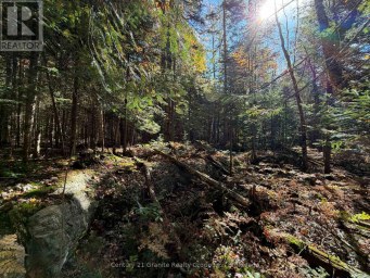 00 KUSHOG LAKE ROAD Algonquin Highlands (Stanhope) Ontario photo 17