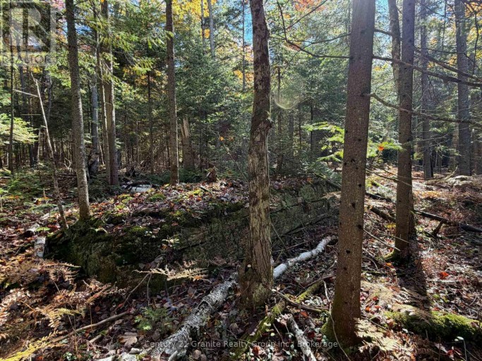 00 KUSHOG LAKE ROAD, Algonquin Highlands (Stanhope), Ontario, K0M1S0