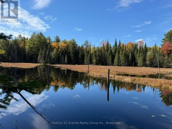 00 KUSHOG LAKE ROAD Algonquin Highlands (Stanhope) Ontario photo 2