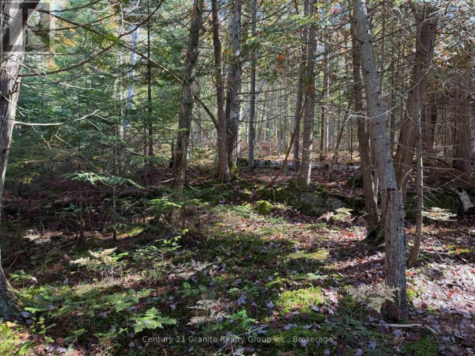 00 KUSHOG LAKE ROAD, Algonquin Highlands (Stanhope), Ontario, K0M1S0