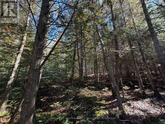 00 KUSHOG LAKE ROAD, Algonquin Highlands (Stanhope), Ontario, K0M1S0