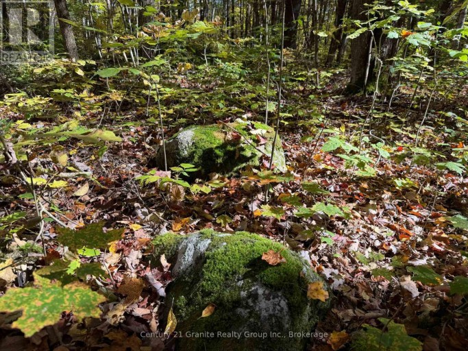 00 KUSHOG LAKE ROAD, Algonquin Highlands (Stanhope), Ontario, K0M1S0