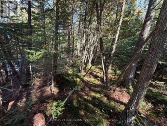 00 KUSHOG LAKE ROAD Algonquin Highlands (Stanhope) Ontario photo 24