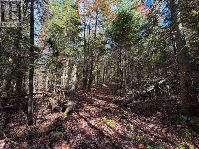 00 KUSHOG LAKE ROAD, Algonquin Highlands (Stanhope), Ontario, K0M1S0