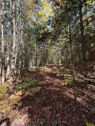 00 KUSHOG LAKE ROAD, Algonquin Highlands (Stanhope), Ontario, K0M1S0