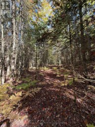 00 KUSHOG LAKE ROAD Algonquin Highlands (Stanhope) Ontario photo 26
