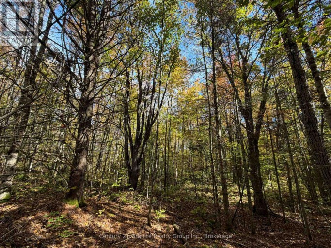 00 KUSHOG LAKE ROAD, Algonquin Highlands (Stanhope), Ontario, K0M1S0