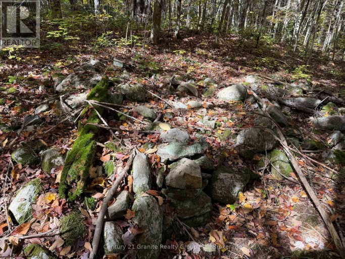 00 KUSHOG LAKE ROAD, Algonquin Highlands (Stanhope), Ontario, K0M1S0