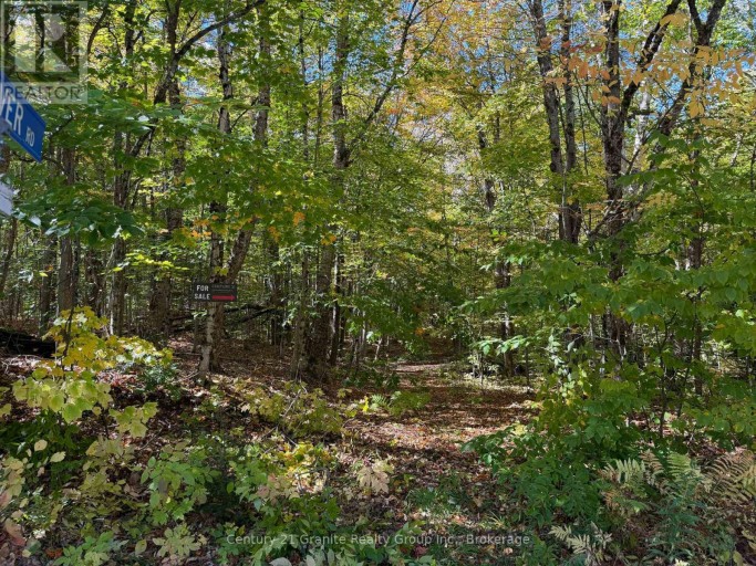 00 KUSHOG LAKE ROAD, Algonquin Highlands (Stanhope), Ontario, K0M1S0