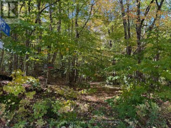 00 KUSHOG LAKE ROAD Algonquin Highlands (Stanhope) Ontario photo 31