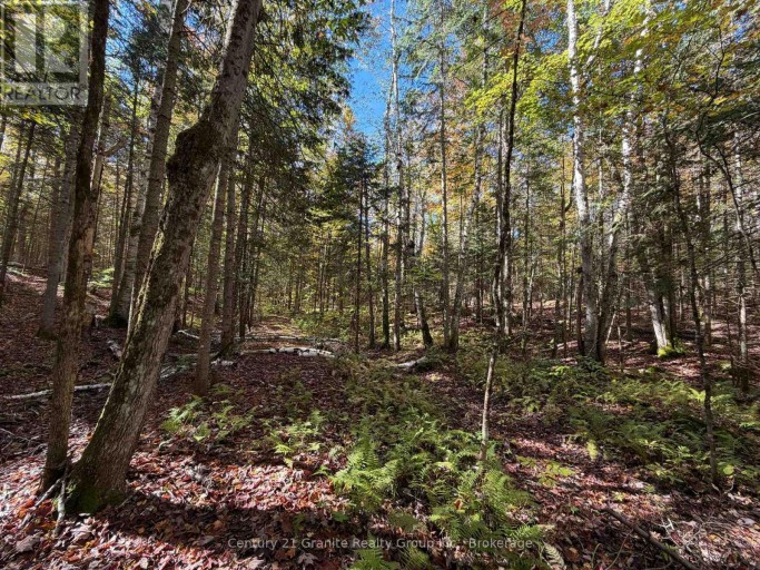 00 KUSHOG LAKE ROAD, Algonquin Highlands (Stanhope), Ontario, K0M1S0