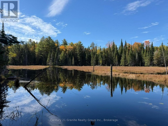 00 KUSHOG LAKE ROAD, Algonquin Highlands (Stanhope), Ontario, K0M1S0