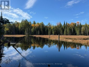 00 KUSHOG LAKE ROAD Algonquin Highlands (Stanhope) Ontario photo 7