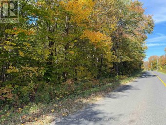 00 KUSHOG LAKE ROAD Algonquin Highlands (Stanhope) Ontario photo 9