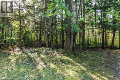 178 BROPHY'S Lane The Blue Mountains Ontario photo 28