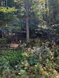 00 AHMIC LAKE ROAD, Magnetawan, Ontario