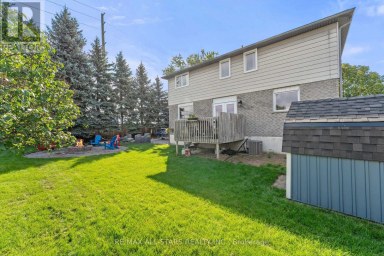 222 BISCAYNE BOULEVARD Georgina (Keswick South) Ontario photo 33