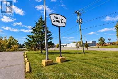 553 MARA ROAD Brock (Beaverton) Ontario photo 33
