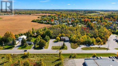 553 MARA ROAD Brock (Beaverton) Ontario photo 34
