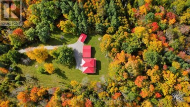 1945 COUNTY ROAD 48 Kawartha Lakes (Bexley) Ontario photo 41