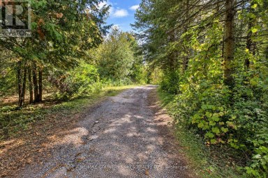 1945 COUNTY ROAD 48 Kawartha Lakes (Bexley) Ontario photo 42