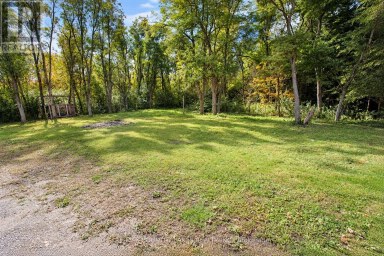 1945 COUNTY ROAD 48 Kawartha Lakes (Bexley) Ontario photo 44