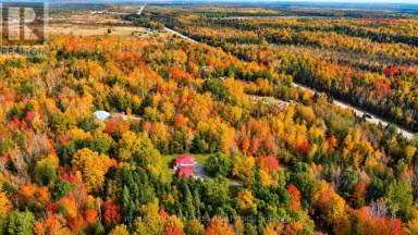 1945 COUNTY ROAD 48 Kawartha Lakes (Bexley) Ontario photo 45