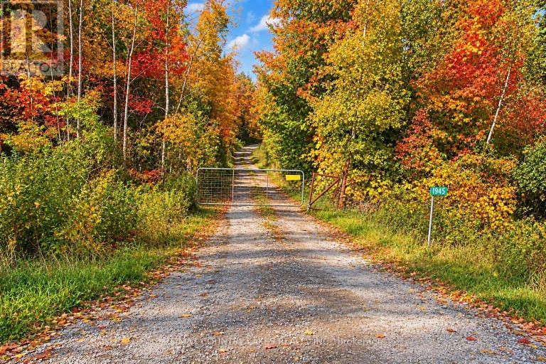 1945 COUNTY ROAD 48, Kawartha Lakes (Bexley), Ontario, K0M2B0