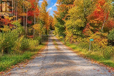 1945 COUNTY ROAD 48 Kawartha Lakes (Bexley) Ontario photo 47