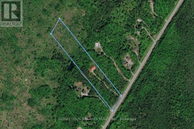 1945 COUNTY ROAD 48 Kawartha Lakes (Bexley) Ontario photo 50