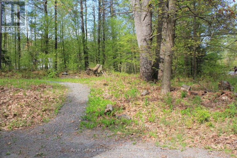 886 MUSKOKA 10 ROAD, Huntsville (Stephenson), Ontario, P0B1L0