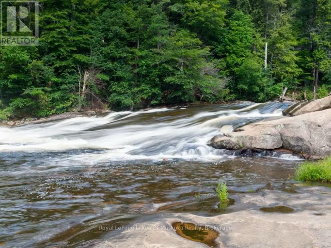 886 MUSKOKA 10 ROAD, Huntsville (Stephenson), Ontario, P0B1L0