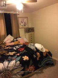 266 ROMAINE STREET Peterborough (Town Ward 3) Ontario photo 19
