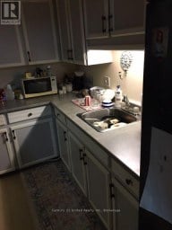 266 ROMAINE STREET Peterborough (Town Ward 3) Ontario photo 27