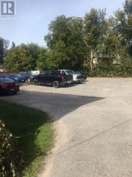 266 ROMAINE STREET Peterborough (Town Ward 3) Ontario photo 30