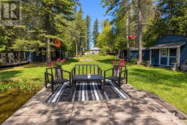 77 MCGUIRE BEACH ROAD Kawartha Lakes (Carden) Ontario photo 23