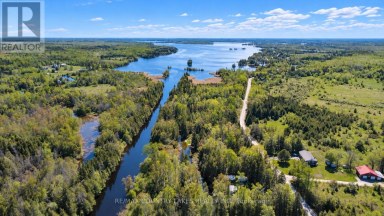 77 MCGUIRE BEACH ROAD Kawartha Lakes (Carden) Ontario photo 25