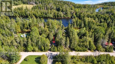 77 MCGUIRE BEACH ROAD Kawartha Lakes (Carden) Ontario photo 3