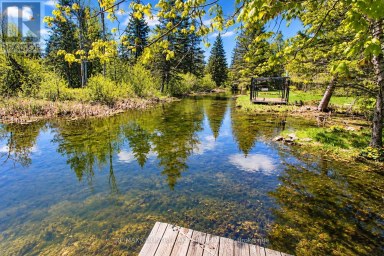 77 MCGUIRE BEACH ROAD Kawartha Lakes (Carden) Ontario photo 38